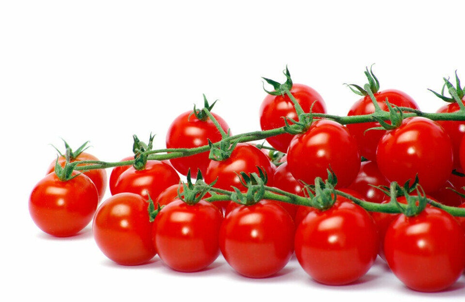 1 tomat (50 gram) gir 0,7 gram kostfiber.