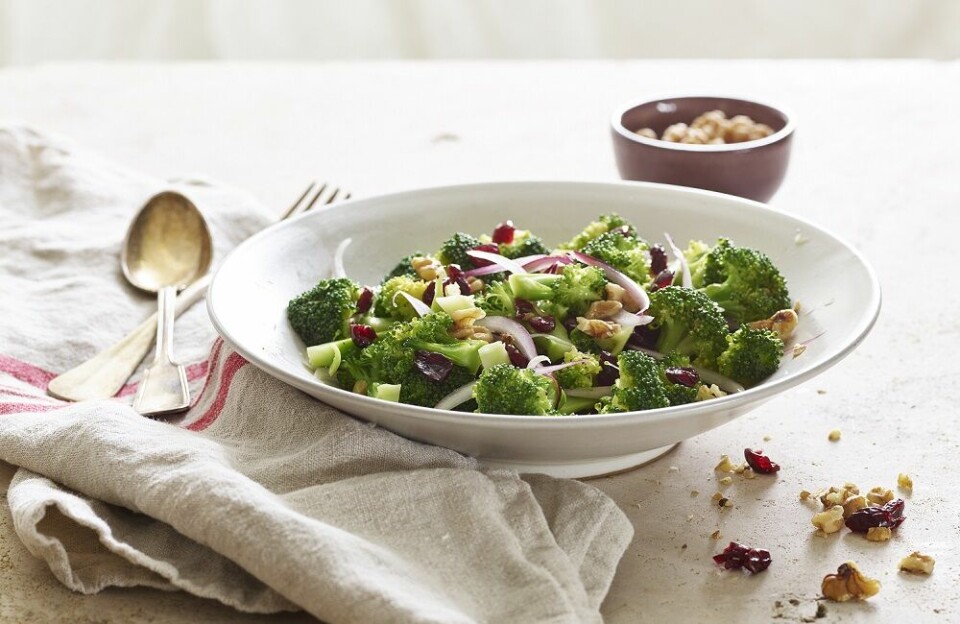 Brokkolisalat med tranebær passer godt både som tilbehør eller som en salat med brød til.