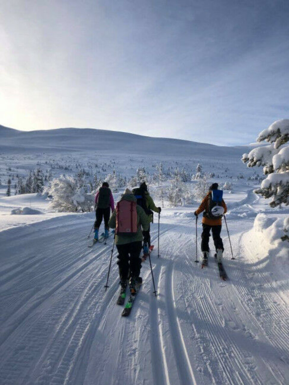 Ta deg en tur i fjellet med ski på beina. Nyt naturen og få opp pulsen!