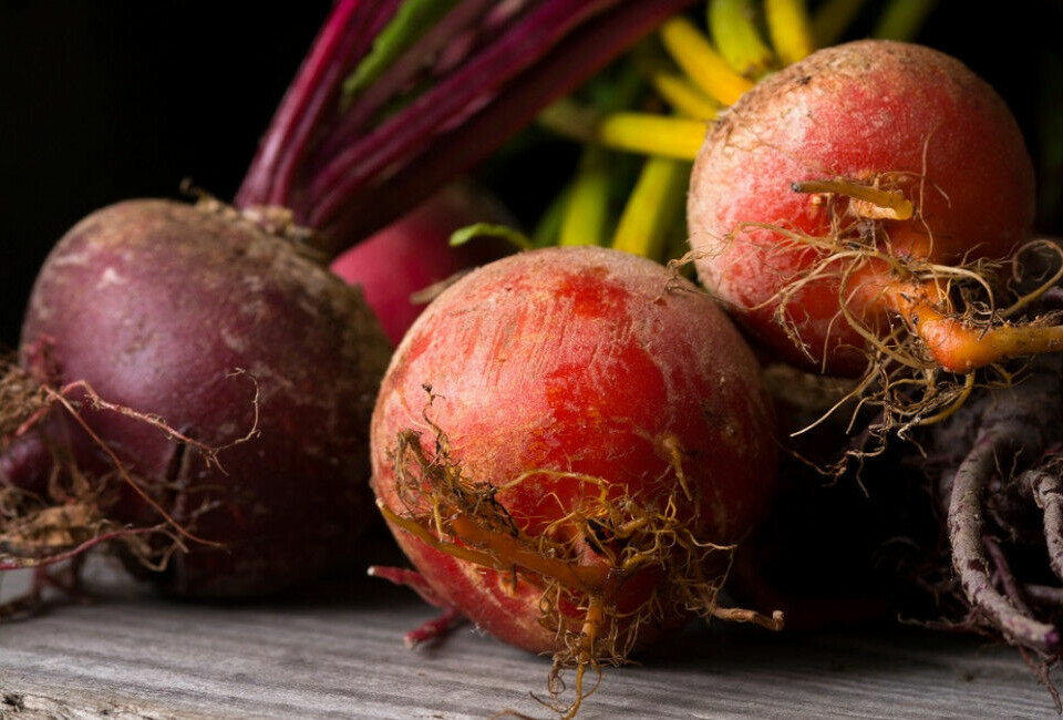 RØDBETER: Visste du at rødbeter er blant de sunneste grønnsakene som finnes?