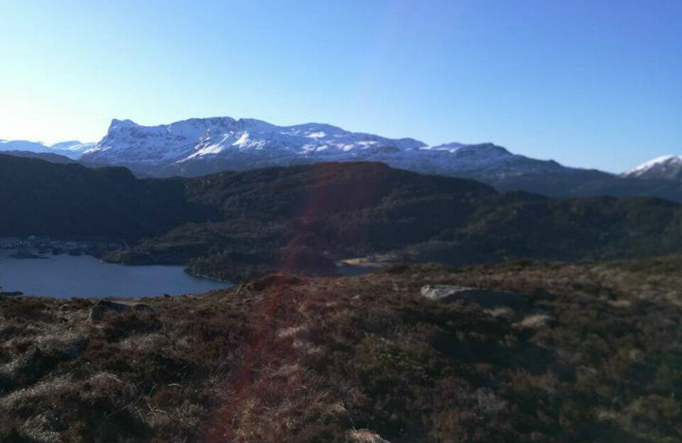 Med utsikt mot Nordfjords stolthet (sammen med Skålatårnet), Hornelen. Dit skal jeg opp i sommer! Med utsikt mot Nordfjords stolthet (sammen med Skålatårnet), Hornelen. Dit skal jeg opp i sommer!