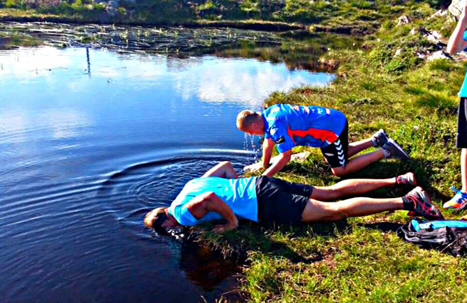 På fjellet en deilig sommerdag. Godt å avkjøle seg litt, man trenger drikkevannet til å slukke tørsten slike dager:) På fjellet en deilig sommerdag. Godt å avkjøle seg litt, man trenger drikkevannet til å slukke tørsten slike dager:)