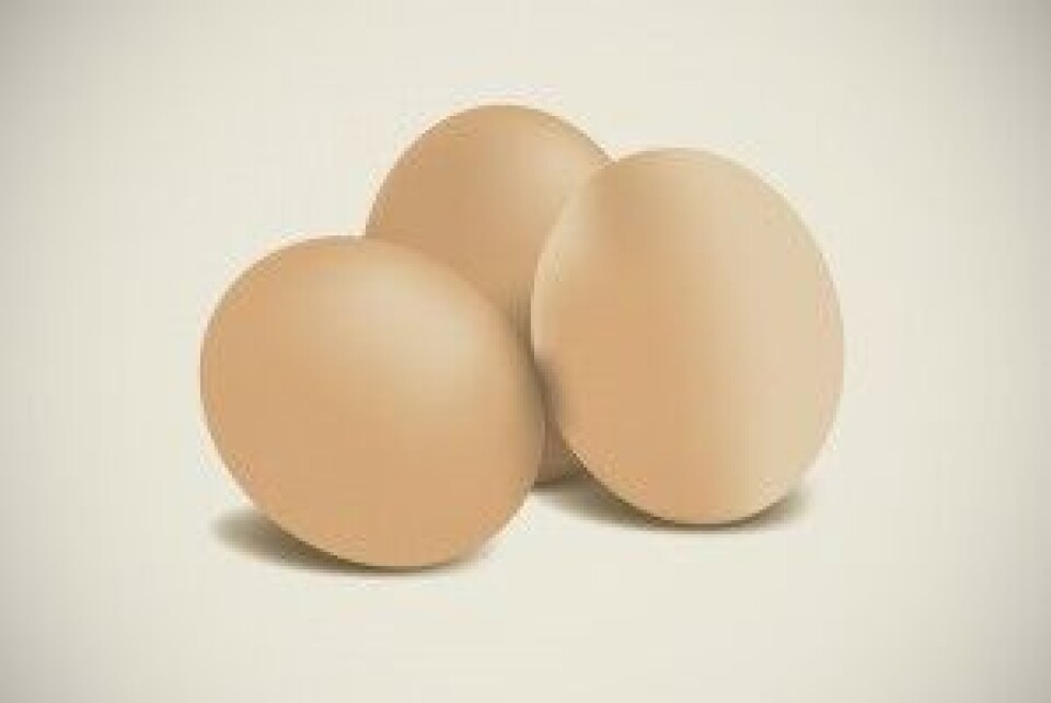 2 stk egg
2 ss vann
20 g kokt skinke
20 g brokkoli
1 ss finhakket persille
1/2 ts salt