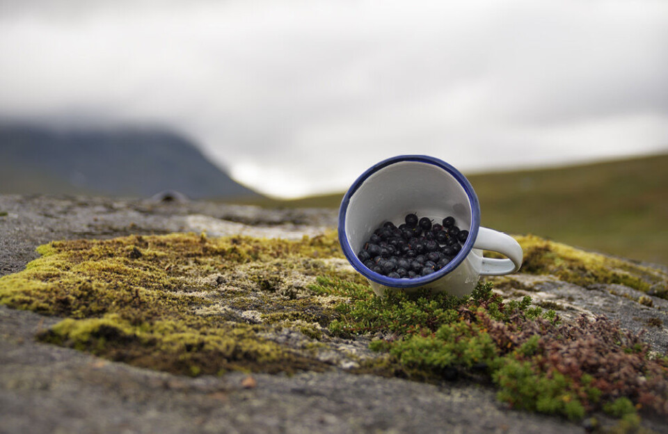 Naturens skatter