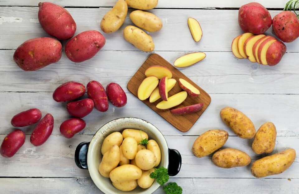 Ta en potet! Ta gjerne fire, ta åtte ta alle, men ta en potet! Foto: Opplysningskontoret for frukt og grønt – frukt.no.