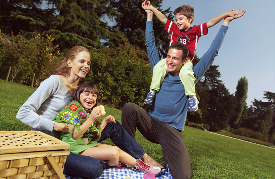 6 tips til en sunn piknik